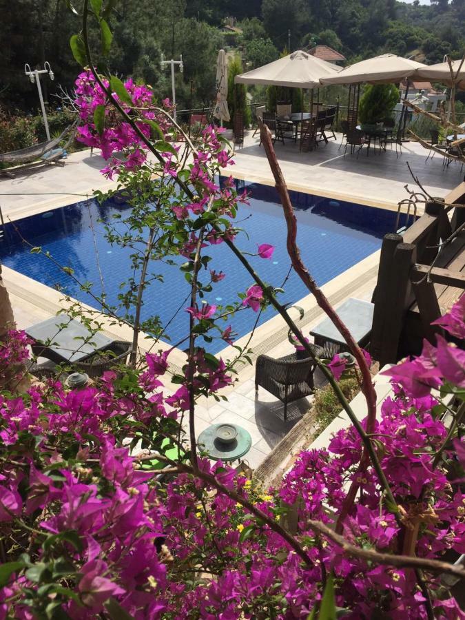 The Stone Castle Boutique Hotel Ağaçlı Eksteriør billede